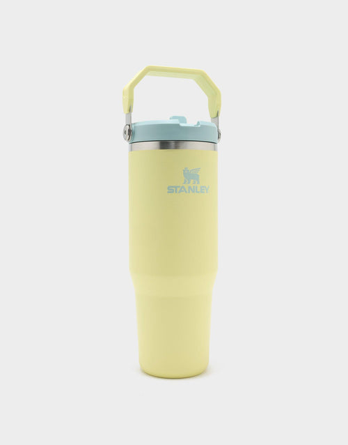 30oz IceFlow Flip Straw Tumbler 2.0