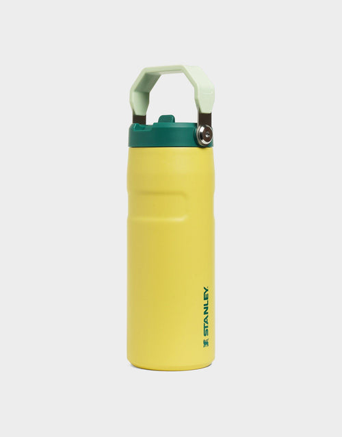 16oz IceFlow Flip Straw Tumbler