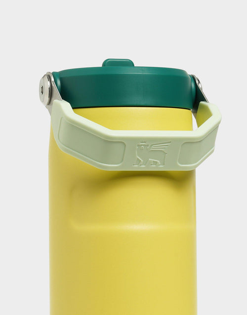 16oz IceFlow Flip Straw Tumbler