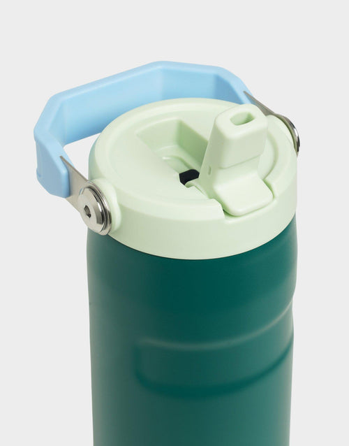 16oz IceFlow Flip Straw Tumbler