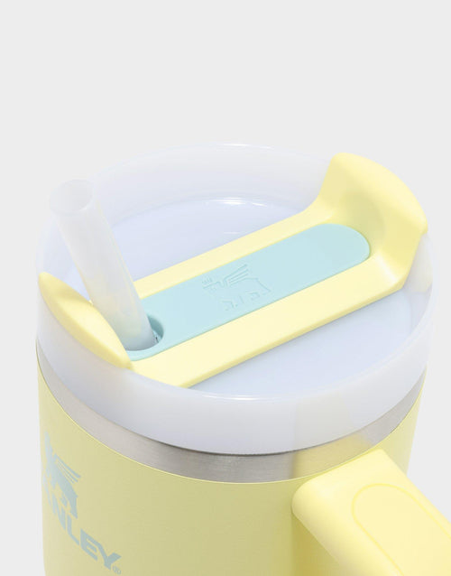 Adventure 20oz Quencher H2.0 Tumbler