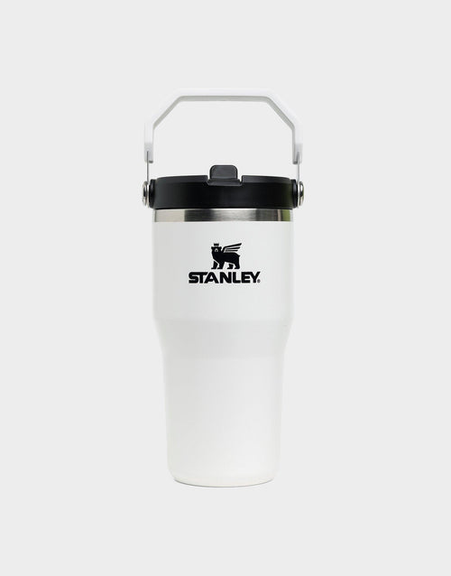 20oz The IceFlow Flip Straw Tumbler