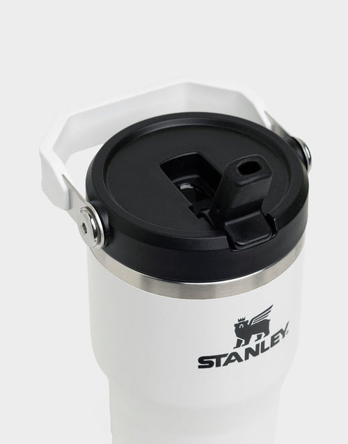 20oz The IceFlow Flip Straw Tumbler