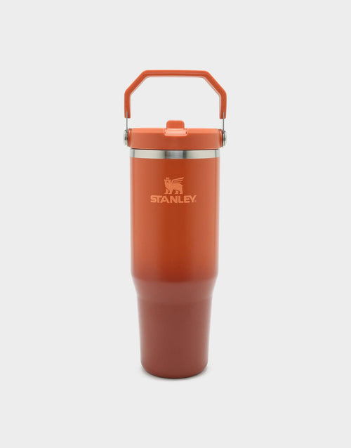 30oz IceFlow™ Flip Straw Tumbler