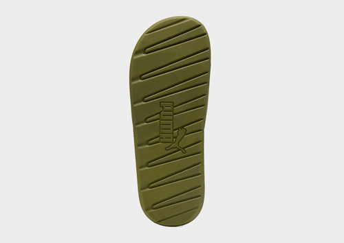 Cool Cat 2.0 Slides