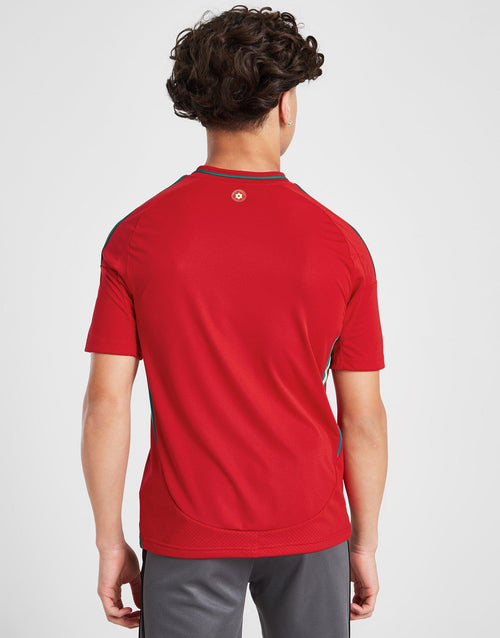 Wales 2024 Home Shirt Junior's