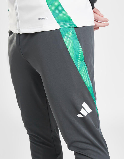 Celtic Training Track Pants