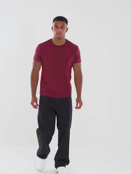 Welsh Rugby Travel T-Shirt