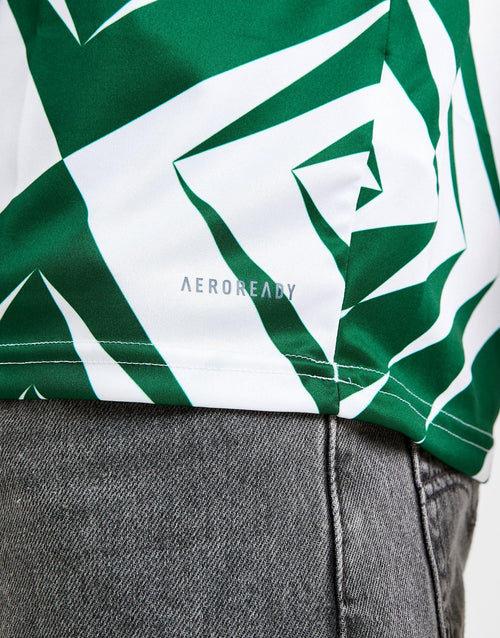 Northern Ireland Pre Match Shirt