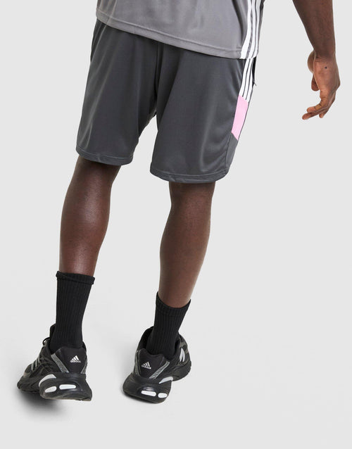 Tiro 26 Shorts