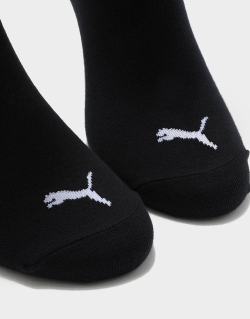 No Show Socks 3 Packs
