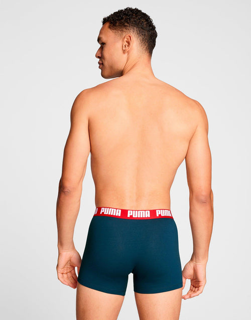 Basic Boxer (2 Pack)