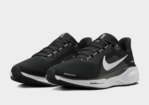 Pegasus 41