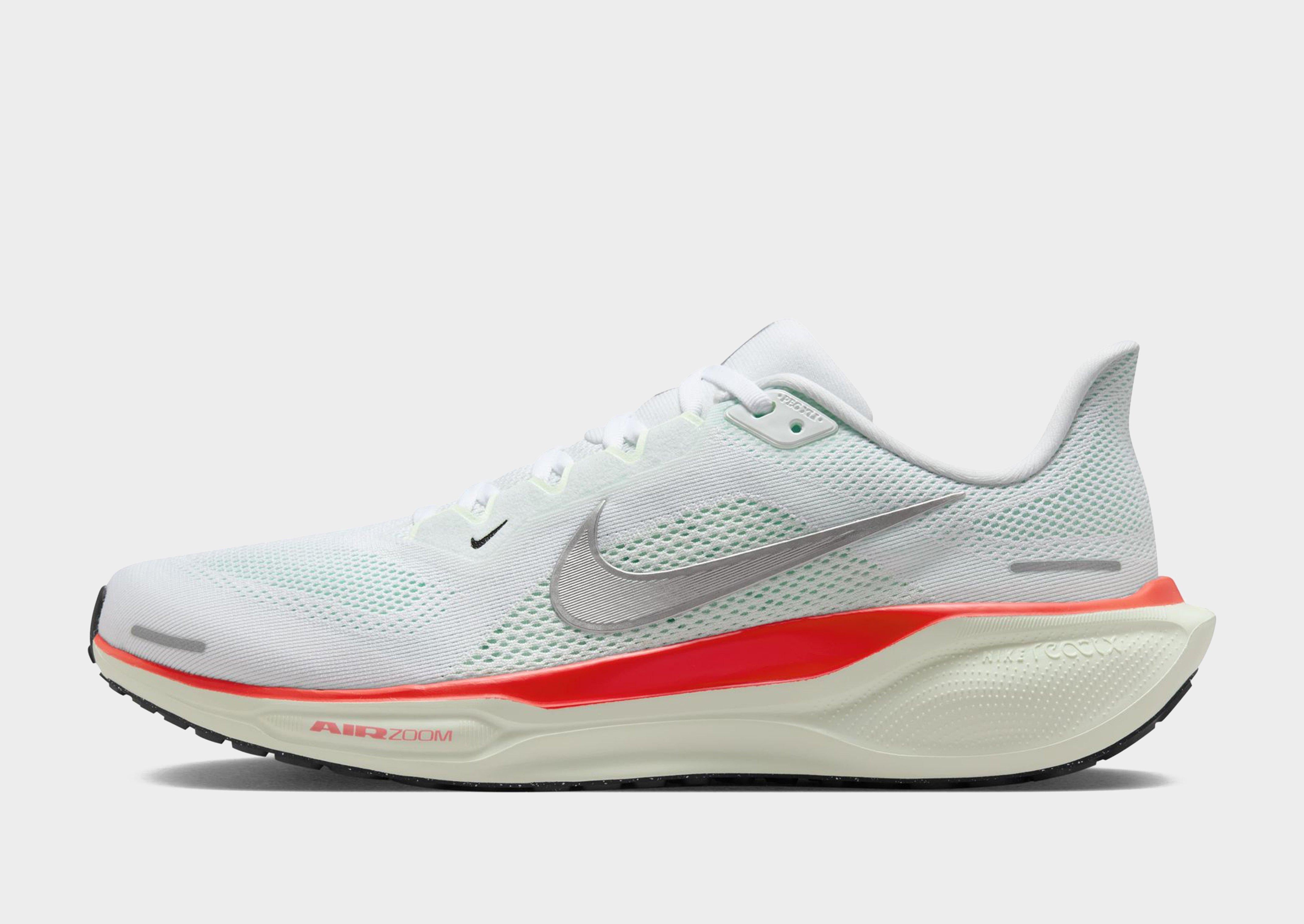 Pegasus 41