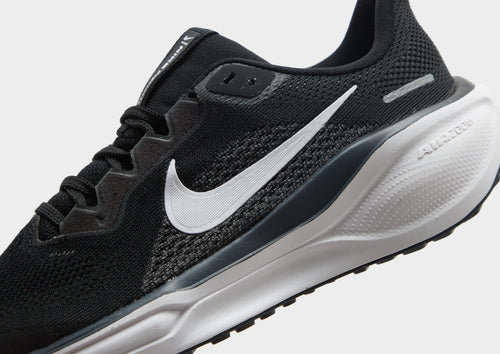 Pegasus 41 Junior's