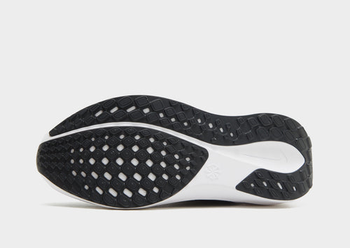 Pegasus 41 Junior's