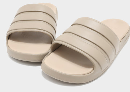 Znsory Slides