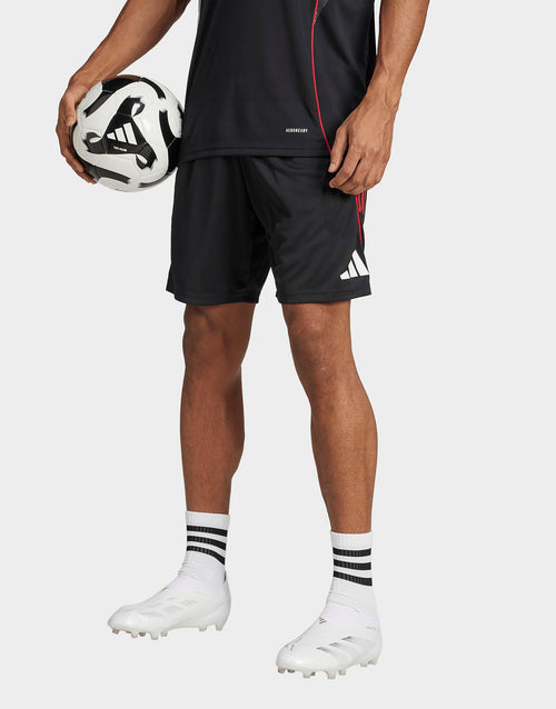 Ajax Training Shorts