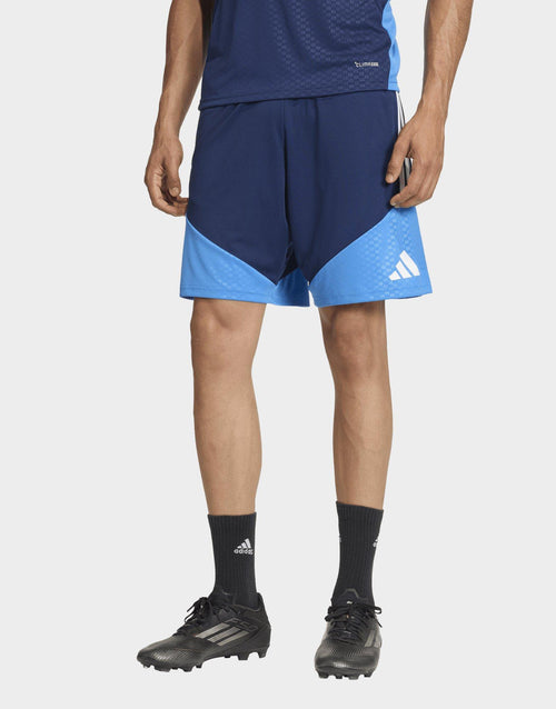 Northern Ireland Tiro 26 Training Shorts