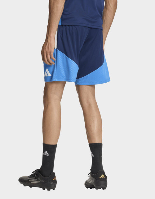 Northern Ireland Tiro 26 Training Shorts