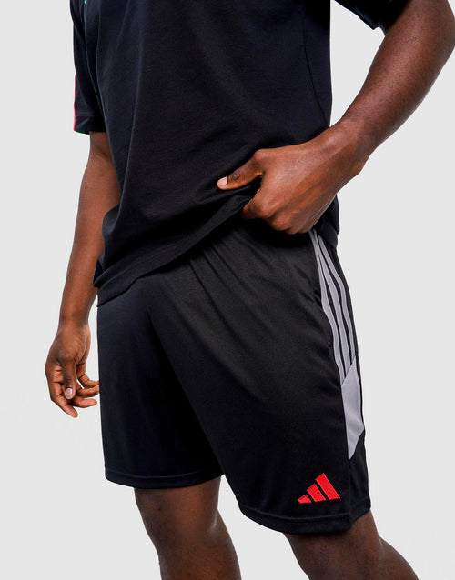 Tiro 26 Shorts