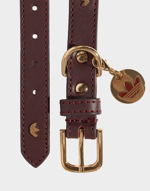 Pet Collar