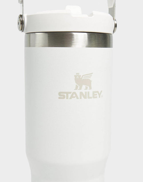 The IceFlow Flip Straw Tumbler 880ML