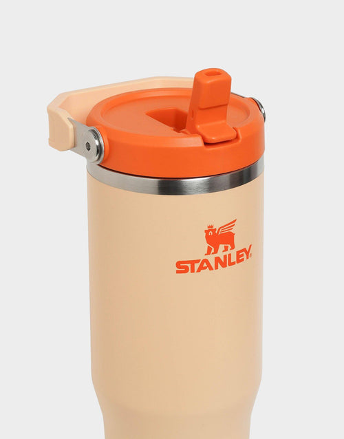 30oz IceFlow Flip Straw Tumbler