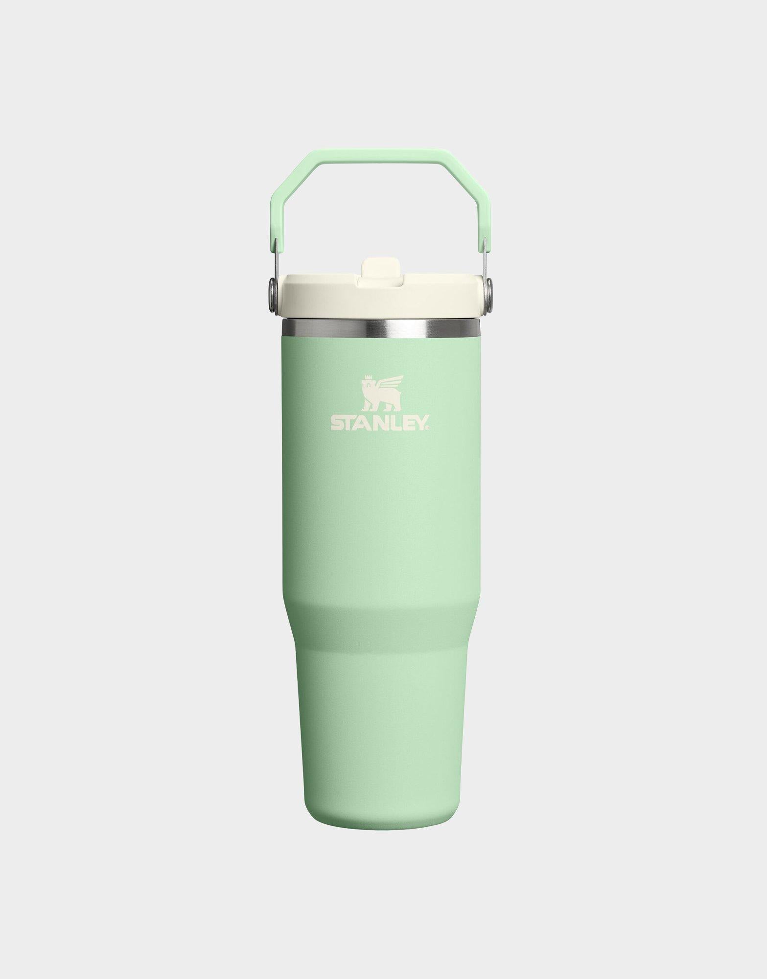 30oz IceFlow Flip Straw Tumbler 2.0