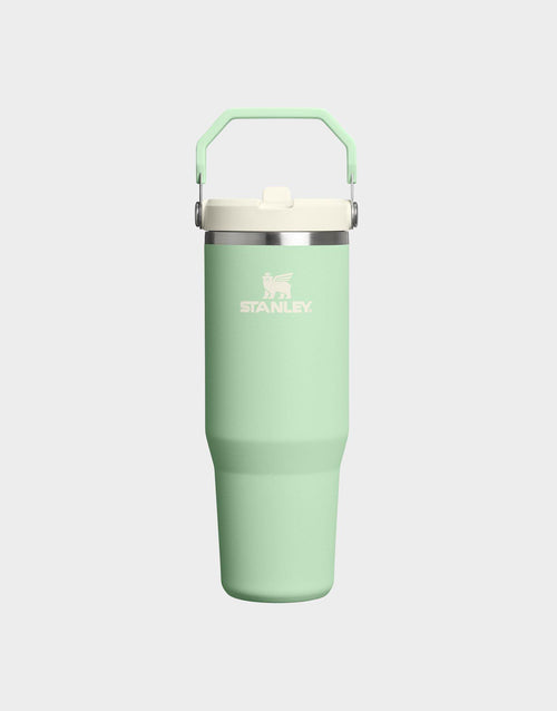 30oz IceFlow Flip Straw Tumbler 2.0