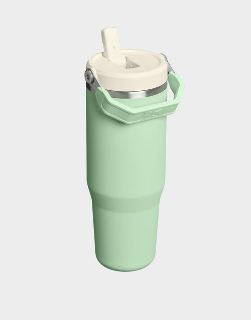 30oz IceFlow Flip Straw Tumbler 2.0