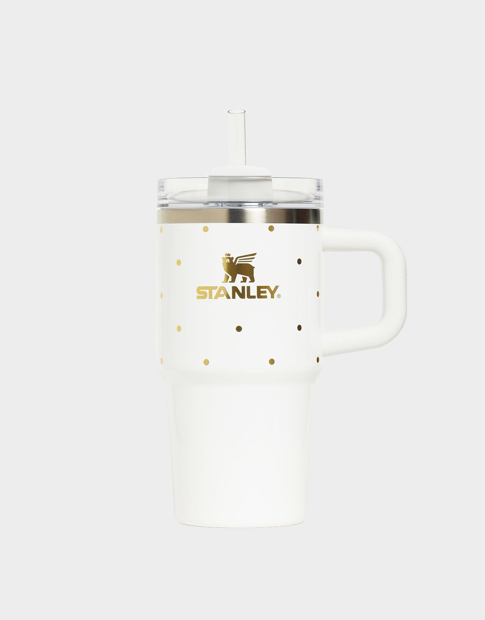 20 oz Quencher H2.0 FlowState Tumbler