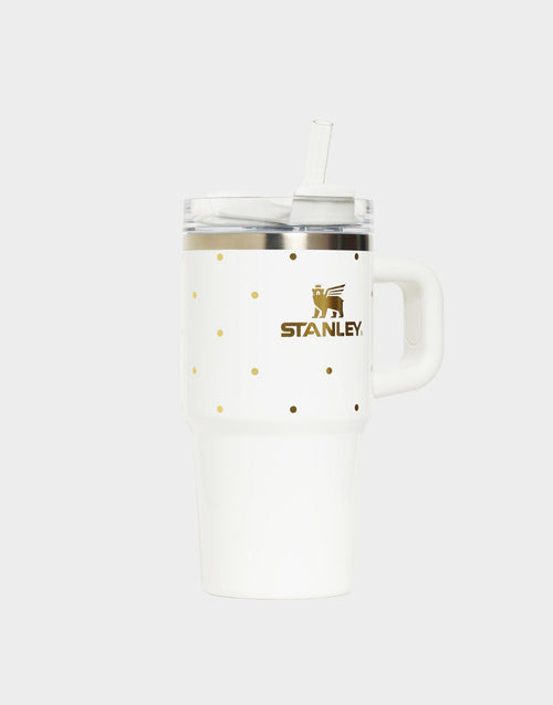 20 oz Quencher H2.0 FlowState Tumbler