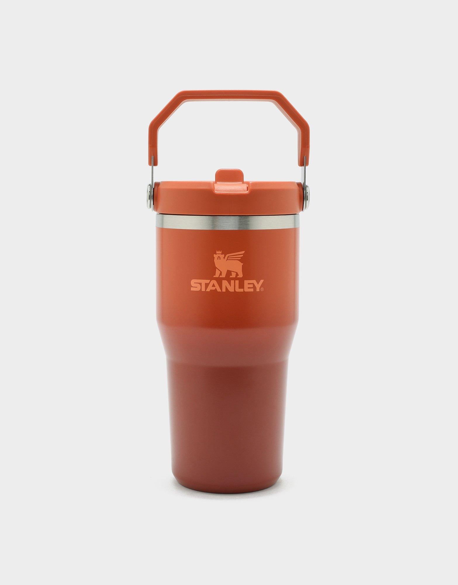 20oz IceFlow™ Flip Straw Tumbler