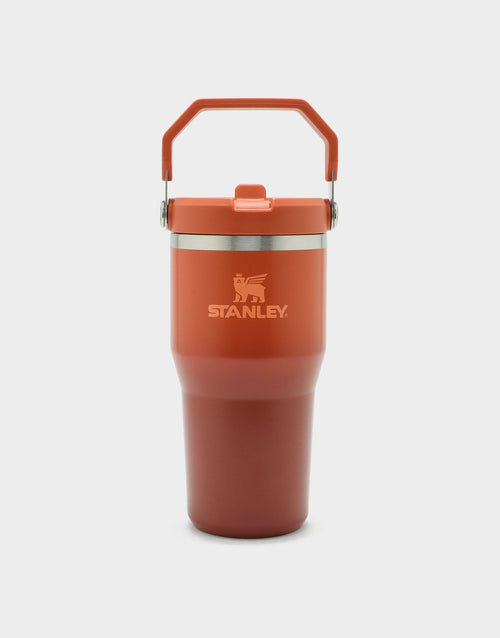 20oz IceFlow™ Flip Straw Tumbler