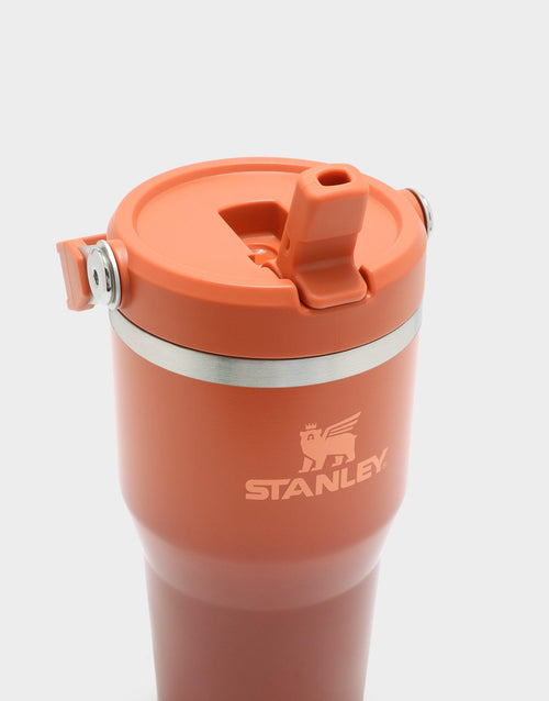 20oz IceFlow™ Flip Straw Tumbler