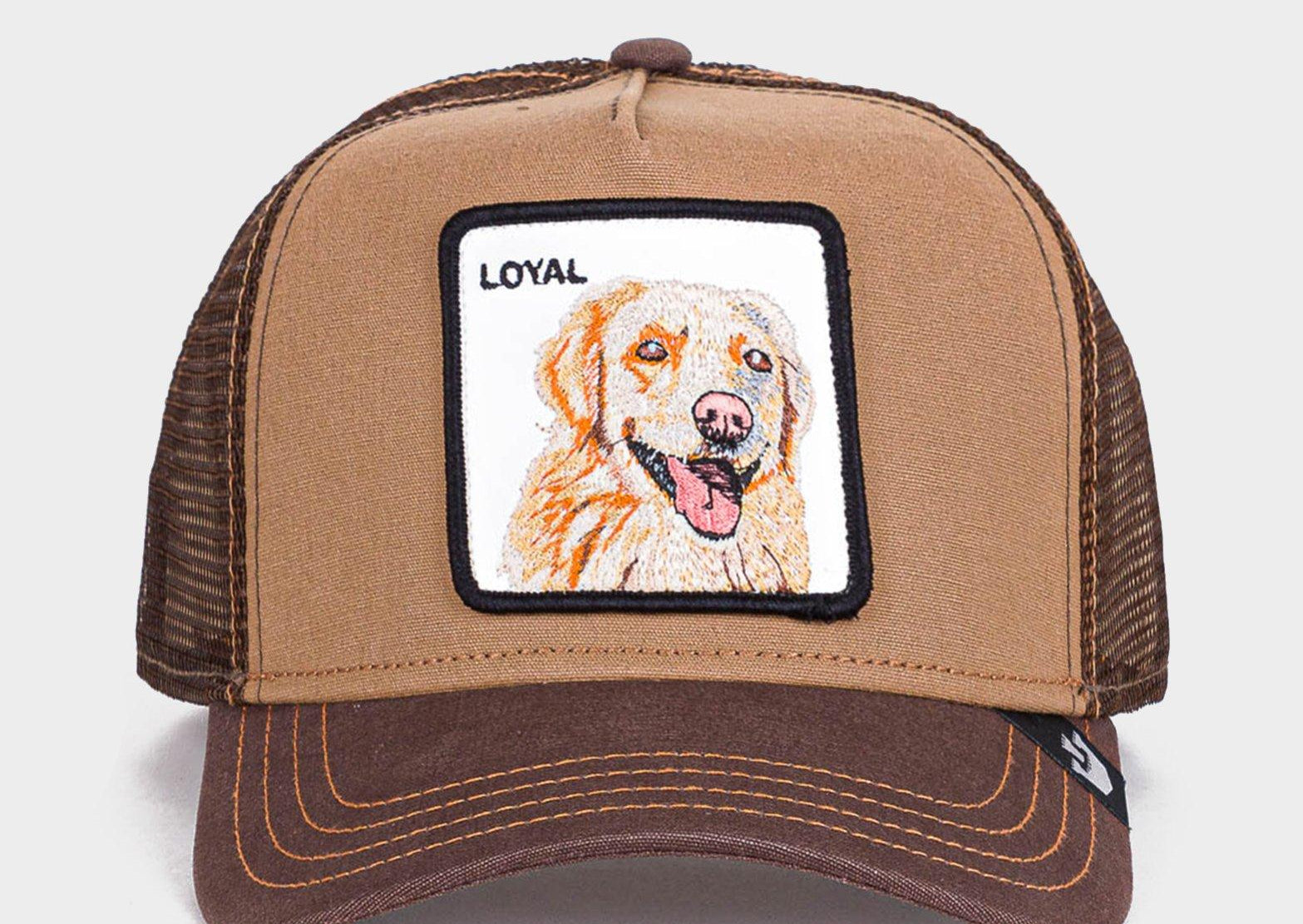Brown Goorin Bros The Loyal Dog Cap JD Sports Malaysia