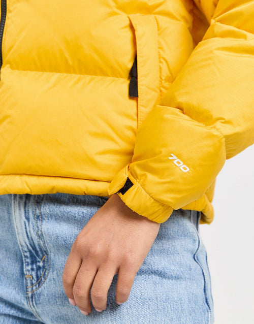 Nuptse 1996 Down Jacket