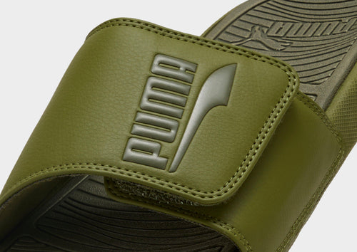 Cool Cat 2.0 Slides