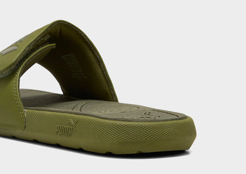Cool Cat 2.0 Slides