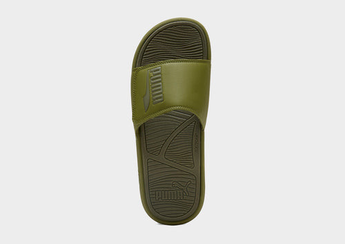Cool Cat 2.0 Slides