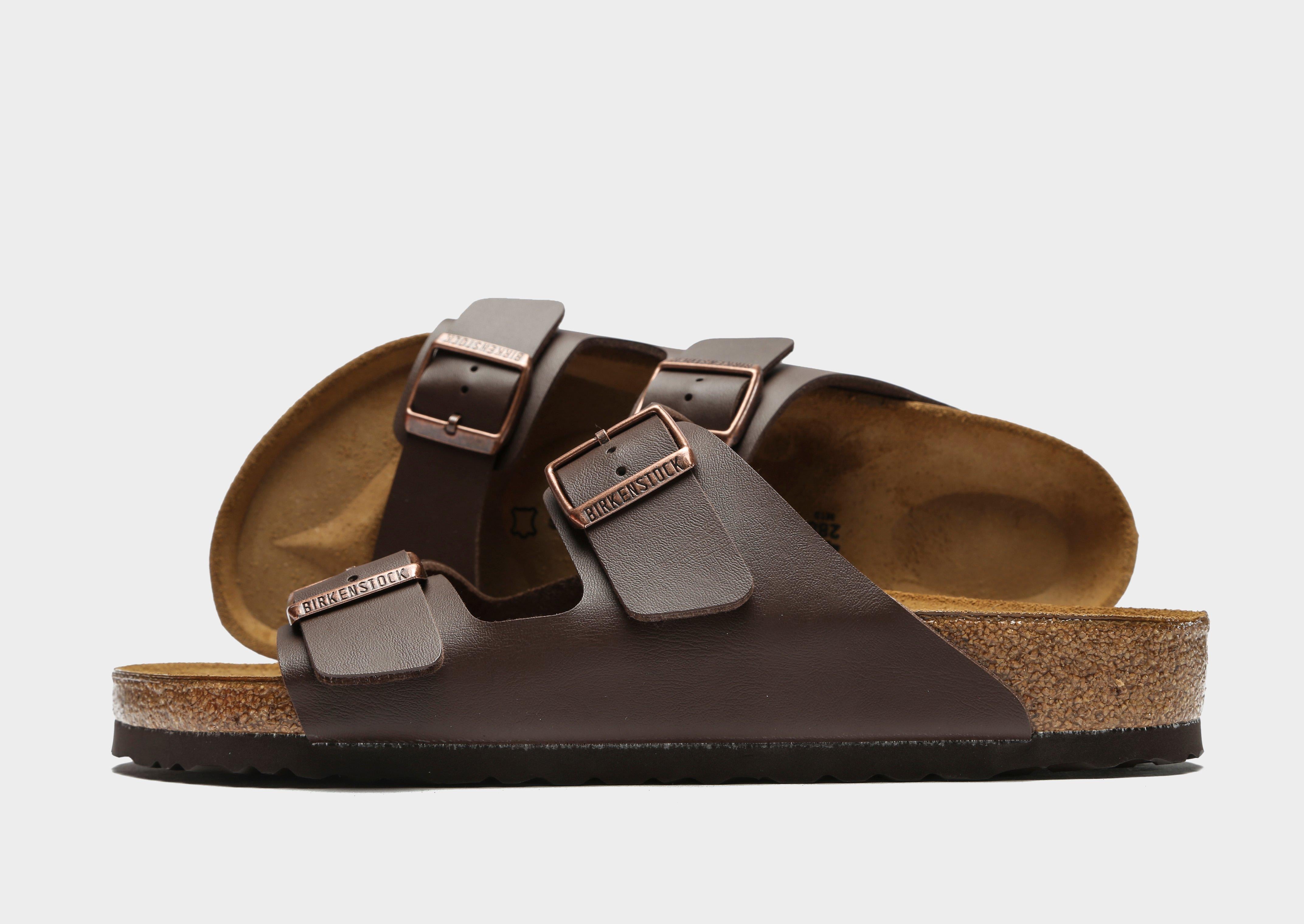 Arizona BS Women's