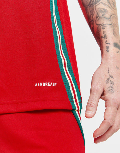 Wales 2024 Home Shirt