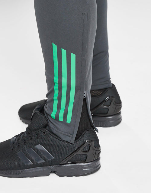 Celtic Training Track Pants