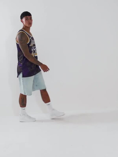 NBA LA Lakers James 23 Select Series Jersey