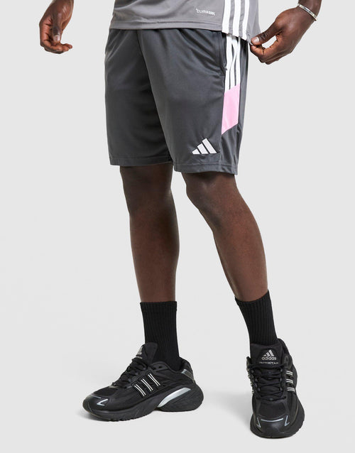 Tiro 26 Shorts