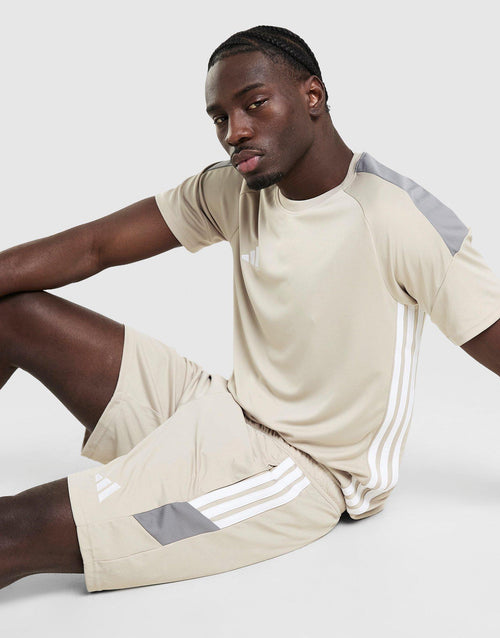 Tiro 26 Shorts
