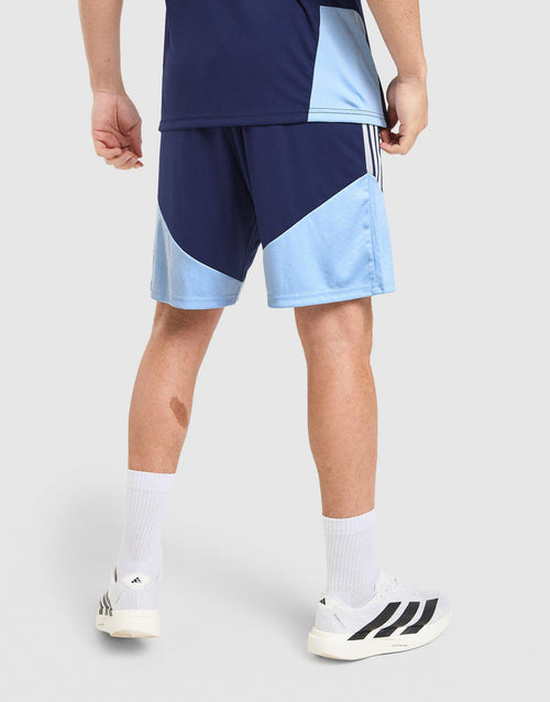 AFC Ajax Tiro 26 Training Shorts