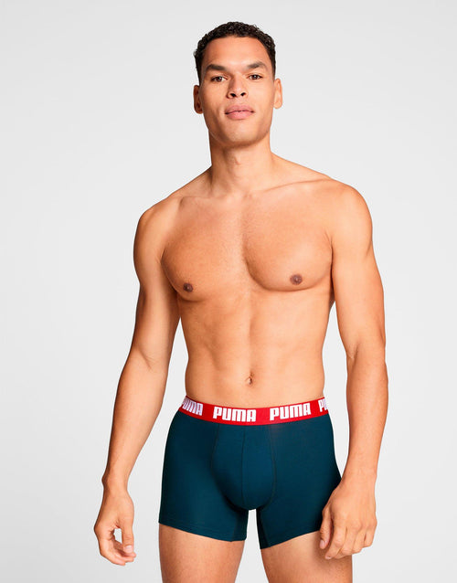 Basic Boxer (2 Pack)