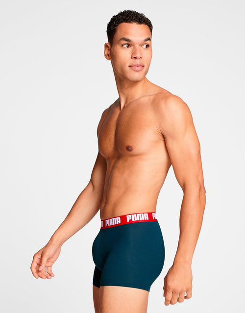 Basic Boxer (2 Pack)